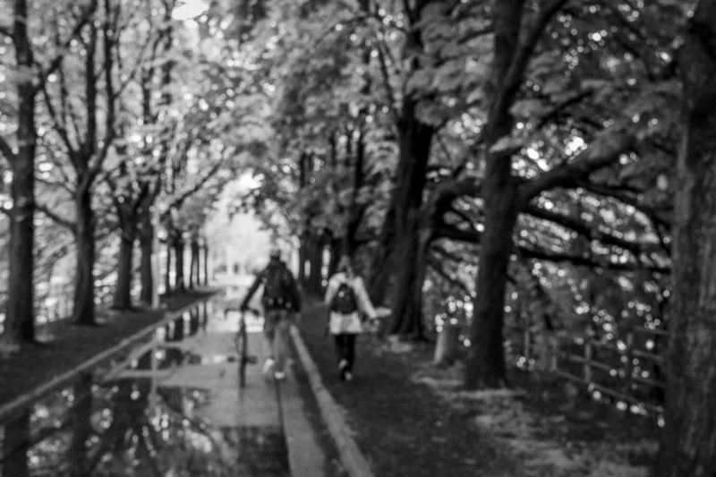 Thierry · 04/07/2025 · 3840 x 2560 Cette photographie en noir et blanc capture une allée bordée d'arbres aux feuilles clairsemées. Le sujet principal semble être les deux personnes assises sur un banc, en conversation. La composition est symétrique, avec une allée centrale menant vers l'horizon.Le cadrage est légèrement bas, offrant une perspective immersive. La lumière, douce et tamisée, traverse les branches, créant des jeux d'ombres et de clarté. Les couleurs dominantes sont les tons de gris, renforçant une ambiance mélancolique et contemplative. Le style est sobre et intemporel, évoquant une atmosphère paisible et nostalgique.
