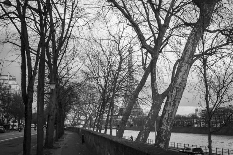 Thierry · 04/07/2025 · 3840 x 2560 Cette photographie en noir et blanc met en scène une allée bordée d’arbres dénudés, formant une perspective linéaire et symétrique. Le sujet principal est cette rangée d’arbres, dont les branches s’entrecroisent, encadrant un chemin et un plan d’eau au loin.Le cadrage est serré et profond, guidant le regard vers l’horizon. La lumière douce, probablement naturelle, crée des contrastes subtils entre ombres et clartés. Les couleurs dominantes, bien que monochromes, varient du blanc cassé au gris foncé.Le style est épuré et contemplatif, évoquant une ambiance calme et mélancolique, presque intemporelle.