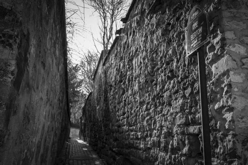 Thierry · 04/07/2025 · 3840 x 2560 Cette photographie en noir et blanc montre un **mur de pierre ancien**, sujet principal, bordant un chemin étroit. La **composition** est verticale, avec une perspective plongeante accentuant la hauteur des pierres.Le **cadrage** serré isole le mur, créant une impression de profondeur et de mystère. La **lumière**, tamisée et contrastée, souligne les textures et les ombres, renforçant l’aspect historique. Les **couleurs dominantes** sont les nuances de gris, typiques du noir et blanc, avec des reflets plus clairs sur les pierres.Le **style** est documentaire et artistique, évoquant une **ambiance** mélancolique et intemporelle, presque solennelle.