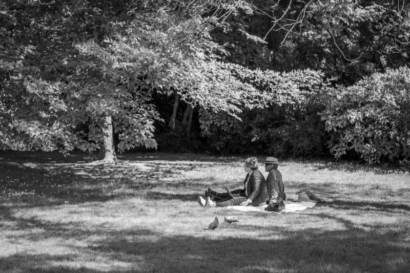 Thierry · 10/05/2024 · 3840 x 2560 Cette photographie en noir et blanc capture deux personnes assises sur un banc dans un cadre naturel. Le sujet principal est leur interaction paisible, entourés de pigeons.La composition est équilibrée, avec un cadrage serré sur les personnages et un arrière-plan flou de végétation. La lumière douce, probablement naturelle, crée des contrastes doux et des ombres subtiles.Les tons dominants sont les gris et noirs, renforçant l'atmosphère mélancolique et intemporelle. Le style est documentaire et poétique, évoquant une ambiance calme et contemplative.