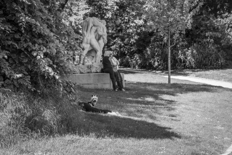 Thierry · 10/05/2024 · 3840 x 2560 Cette photographie en noir et blanc met en scène un homme, sujet principal, debout près d’un chemin, observant un chien couché sur l’herbe. La composition joue sur la profondeur avec un cadrage légèrement incliné, intégrant des éléments naturels comme les arbres et un graffiti mural en arrière-plan.La lumière douce et naturelle crée des contrastes doux, accentuant les ombres et les textures. Les couleurs, bien que monochromes, exploitent les nuances de gris pour évoquer une ambiance calme et mélancolique. Le style est documentaire et intime, capturant un moment de tranquillité dans un cadre urbain-naturel.