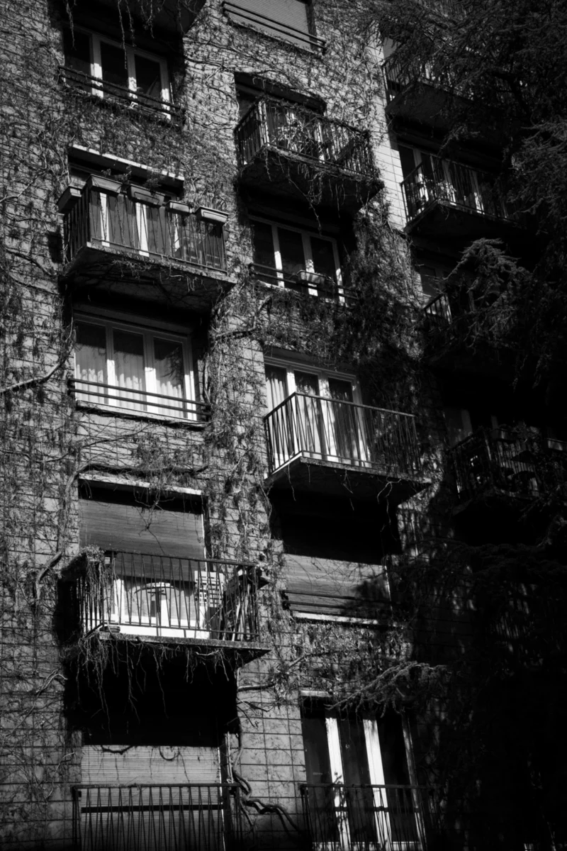 Thierry · 14/03/2024 · 2560 x 3840 Cette photographie montre un immeuble ancien et dégradé, envahi par la végétation. Le sujet principal est l’architecture décrépite avec ses balcons en fer forgé rouillé et ses murs couverts de lierre.La composition verticale met en valeur la hauteur de l’immeuble. Le cadrage serré accentue les détails texturés et les ombres.En noir et blanc, la lumière est contrastée, créant des jeux d’ombres et de clartés dramatiques. Les tons dominants varient du noir profond au gris clair.Le style est documentaire et esthétisé, évoquant une ambiance mélancolique et mystérieuse, presque gothique.