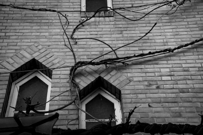Thierry · 13/04/2024 · 3840 x 2560 Cette photographie en noir et blanc met en scène un arbre dont les branches tortueuses s’enroulent autour d’une façade de briques. Le sujet principal est cette interaction entre la nature et l’architecture, soulignant le contraste entre l’organique et le minéral.La composition est symétrique, avec deux fenêtres en arc brisé encadrant les branches. Le cadrage serré accentue les détails et les textures. La lumière douce, probablement naturelle, crée des ombres marquées, renforçant le côté dramatique. Les tons dominants sont les gris et noirs, typiques du noir et blanc, évoquant une ambiance mélancolique et mystérieuse. Le style est artistique et évocateur, rappelant le réalisme poétique.