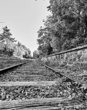 Claude · 3388 x 4294 Cette photographie en noir et blanc montre une voie ferrée comme sujet principal. La composition met en valeur les rails qui convergent vers l’horizon, encadrés par une végétation dense et une levée de pierres.Le cadrage est serré sur les rails, créant une perspective profonde. La lumière, douce et diffuse, accentue les contrastes sans être trop forte. Les tons dominants sont les gris et noirs, renforçant une ambiance nostalgique et mélancolique.Le style, sobre et documentaire, évoque une époque passée, avec une atmosphère à la fois calme et mystérieuse.
