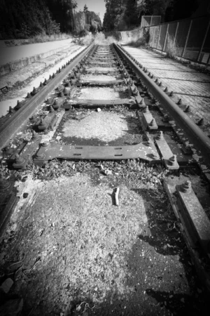 Claude · 3876 x 5814 Cette photographie en noir et blanc montre des voies ferrées abandonnées, recouvertes de végétation et de débris. Le sujet principal est une voie centrale, encadrée par des rails parallèles qui convergent vers l’horizon.La composition utilise une perspective symétrique, renforcée par le cadrage serré et la profondeur de champ. La lumière, naturelle et tamisée, accentue les contrastes entre ombres et clartés, créant une ambiance mélancolique et mystérieuse. Le style, sobre et documentaire, évoque une atmosphère de déclin et d’oubli, typique des lieux désaffectés.