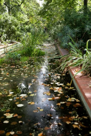 Claude · 3719 x 5578 Cette photographie met en scène un petit étang naturel bordé de végétation luxuriante. Le sujet principal est l’eau calme, parsemée de feuilles mortes et de lily pads, reflétant une lumière douce.La composition est symétrique, avec un chemin de terre et des plantes encadrant l’étang. Le cadrage est serré, centré sur l’eau et ses détails. La lumière, naturelle et tamisée, crée des reflets et des jeux d’ombre. Les couleurs dominantes sont les verts profonds et les teintes automnales (oranges et bruns).Le style est réaliste et apaisant, évoquant une ambiance sereine et presque onirique, typique d’un jardin paisible ou d’une forêt humide.