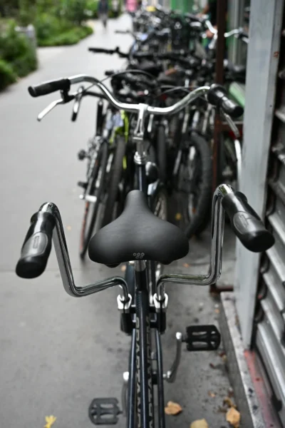Jean-Marc · 13/09/2025 · 2560 x 3840 Cette photographie montre principalement un vélo cargo à l'avant-plan, avec une rangée de vélos alignés en arrière-plan.Le cadrage est serré sur le vélo de devant, mettant en valeur son siège et ses accessoires. La composition est linéaire, guidant le regard vers les autres vélos. La lumière est naturelle et douce, créant des ombres légères. Les couleurs dominantes sont les tons gris métalliques des vélos, avec des touches de noir et quelques éclats de couleurs vives sur les accessoires.L’ambiance est urbaine et fonctionnelle, évoquant un lieu de stationnement pratique et organisé.
