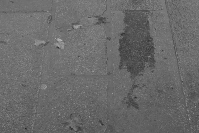 Gard · 13/09/2025 · 4496 x 3000 Cette photographie montre un sol en dalles de béton usées, avec des traces d’érosion et de fissures. Le sujet principal est une tache sombre, probablement de l’eau ou une substance liquide, qui s’étend en forme irrégulière.La composition est épurée, centrée sur les textures et dégradés du matériau. Le cadrage serré met en valeur les détails du sol. La lumière, naturelle et tamisée, crée des contrastes doux entre ombres et clartés. Les couleurs dominantes sont les gris et noirs, renforçant une ambiance austère et industrielle.Le style est documentaire et minimaliste, évoquant une atmosphère froide et désolée.
