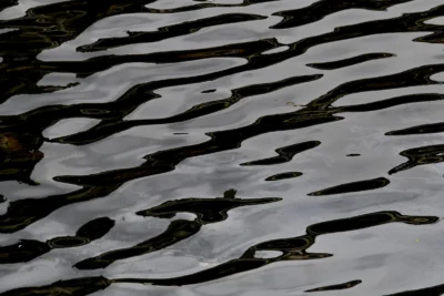 Vincent · 13/09/2025 · 3840 x 2562 Cette photographie capture des **pavés mouillés** formant un motif en damier reflétant la lumière. Le **sujet principal** est l’effet visuel des reflets et des ombres sur les pierres.La **composition** est épurée, centrée sur les textures et jeux de lumière. Le **cadrage** est serré, sans éléments distractifs. La **lumière**, naturelle et tamisée, crée des contrastes doux entre clairs et foncés. Les **couleurs dominantes** sont des gris et noirs, adoucis par des reflets bleutés.Le style est **minimaliste et abstrait**, évoquant une ambiance **calme et presque mélancolique**, comme un instant suspendu après la pluie.