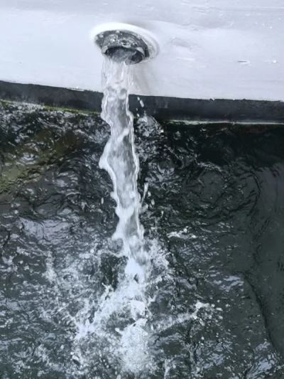 Laurence · 13/09/2025 · 3060 x 4080 Cette photographie montre un **jet d’eau** s’écoulant d’un drain ou d’un trop-plein, probablement dans une baignoire ou un évier.Le **sujet principal** est le filet d’eau dynamique, capturé en mouvement. La **composition** est simple, centrée sur ce flux vertical. Le **cadrage** est serré, mettant en valeur les détails de l’eau.La **lumière** semble naturelle, éclairant uniformément la scène. Les **couleurs dominantes** sont des teintes froides : gris (surface de l’eau), blanc (écume) et bleu-vert (fond). Le style est **réaliste et documentaire**, avec une **ambiance calme et presque hypnotique**, malgré l’aspect fluide du sujet.