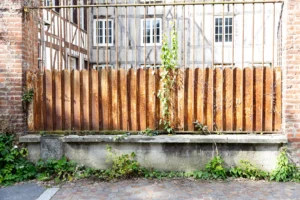 Claude · 6000 x 4000 Cette photographie met en scène un mur en bois vertical composé de planches espacées, servant de clôture ou de brise-vue. Le sujet principal est ce mur rustique, partiellement envahi par une plante grimpante.La composition est simple et épurée, avec un cadrage serré sur le mur et un fond neutre (brique et fenêtre). La lumière semble naturelle, douce et légèrement tamisée, créant des ombres discrètes. Les couleurs dominantes sont les tons beiges et bruns du bois, contrastant avec le vert de la végétation et le gris des briques.Le style est réaliste et documentaire, évoquant une ambiance calme et légèrement abandonnée.