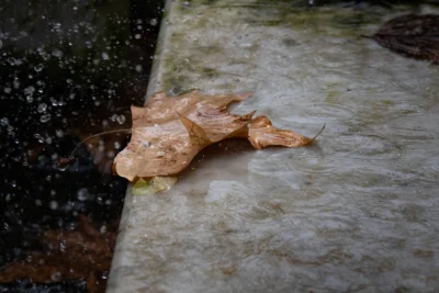Muriel · 13/09/2025 · 2048 x 1365 Cette photographie montre un morceau de pain sec posé sur une surface en pierre humide, probablement près d’un point d’eau.La composition est simple et épurée, avec un cadrage serré qui isole le sujet. La lumière naturelle, douce et légèrement tamisée, crée des contrastes subtils. Les couleurs dominantes sont des tons neutres (beige, gris) avec des reflets verts et bleus sur la pierre humide.Le style est réaliste et documentaire, évoquant une ambiance naturelle et presque mélancolique, comme un instant de vie saisie sans artifices.