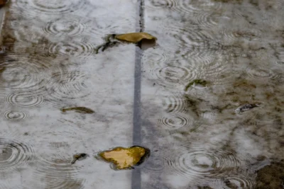 Muriel · 13/09/2025 · 2048 x 1365 Cette photographie capture des feuilles mortes flottant sur une surface d’eau stagnante, probablement une flaque.Le **sujet principal** est une feuille jaune et une autre plus sombre, partiellement immergées. La **composition** est épurée, centrée sur les reflets et les ondulations de l’eau. Le **cadrage** est serré, mettant en valeur les détails des feuilles et des cercles concentriques.La **lumière** semble naturelle, tamisée, créant des contrastes doux. Les **couleurs dominantes** sont les tons gris de l’eau, les jaunes et bruns des feuilles, et quelques reflets verdâtres.Le **style** est réaliste et minimaliste, évoquant une **ambiance** calme et mélancolique, presque poétique.