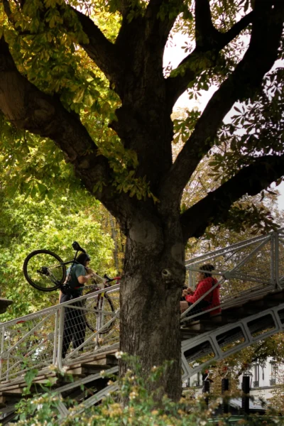 Renato · 13/09/2025 · 2560 x 3840 Cette photographie met en scène deux personnes près d’un grand arbre aux feuilles automnales. Le sujet principal semble être le cycliste en haut des escaliers, bien que les deux individus soient visibles.La composition joue sur les lignes verticales des escaliers et du tronc de l’arbre, encadrant la scène. Le cadrage est serré, mettant en valeur les détails des feuilles et des visages.La lumière est douce et naturelle, créant des ombres légères. Les couleurs dominantes sont les verts et jaunes des feuilles, avec des touches de rouge et de brun.Le style est documentaire et naturel, évoquant une ambiance paisible et chaleureuse, typique d’une balade en automne.