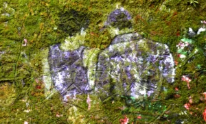 Franck T. · 04/10/2025 · 1000 x 604 Cette photographie montre deux **rochers couverts de mousse et de lichens**, formant une silhouette évoquant un visage souriant.La **composition** est centrée, avec un cadrage serré mettant en valeur les textures organiques. La **lumière**, naturelle et douce, semble tamisée, créant des contrastes subtils. Les **couleurs dominantes** sont les verts moussus, les gris des roches et quelques touches de brun-ocre.Le style est **minimaliste et naturel**, évoquant une ambiance **poétique et mystérieuse**, presque onirique, comme une rencontre fortuite avec la nature.