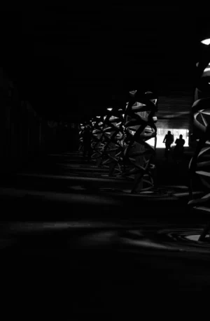 Claude · 3242 x 4959 Cette photographie en noir et blanc capture une scène nocturne floue et mystérieuse. Le sujet principal semble être une série de silhouettes alignées, évoquant des spectateurs ou des statues. La composition repose sur une perspective longitudinale, avec un cadrage serré et une profondeur de champ réduite.La lumière est faible et contrastée, créant une ambiance sombre et immersive. Les couleurs dominantes sont les nuances de gris, renforçant l'atmosphère énigmatique. Le style rappelle le surréalisme ou une esthétique cinématographique, évoquant une scène onirique ou dramatique. L'ambiance est à la fois angoissante et captivante.