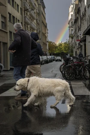 Thierry · 04/10/2025 · 2560 x 3840 Cette photographie met en scène un chien blanc comme sujet principal, marchant sur un trottoir mouillé. La composition joue sur la perspective avec une rue étroite bordée de bâtiments et de vélos. Le cadrage est serré sur le chien, mais inclut aussi deux personnes en arrière-plan, ajoutant de la profondeur.La lumière est naturelle, douce, avec un arc-en-ciel subtilement présent en arrière-plan, apportant une touche magique. Les couleurs dominantes sont les tons gris et blancs, adoucis par les reflets de l’eau et les touches de vert des arbres. Le style est réaliste et documentaire, créant une ambiance paisible et presque poétique.