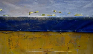 Franck T. · 18/10/2025 · 1000 x 579 Cette photographie met en scène un groupe de petits poissons jaunes nageant près d’une surface bleue, probablement un aquarium ou un réservoir d’eau.La composition joue sur le contraste entre la ligne horizontale de séparation et les poissons en mouvement. Le cadrage est serré, centré sur cette interface eau/air. La lumière semble naturelle, douce et homogène.Les couleurs dominantes sont le bleu profond et le jaune vif des poissons, créant un style réaliste et épuré. L’ambiance est à la fois calme et dynamique, grâce aux poissons en mouvement.