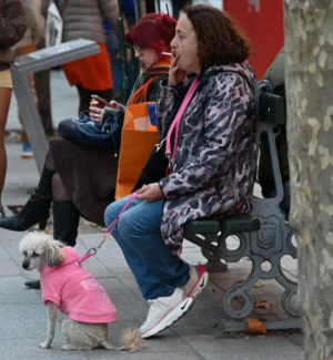 Pierre · 30/10/2025 · 3005 x 3253 Cette photographie montre une femme assise sur un banc public, tenant un instrument de musique (un saxophone). Son sujet principal est elle-même, accompagnée de son petit chien vêtu d'un manteau rose.La composition est simple et naturelle, avec un cadrage serré sur la femme et son chien. L'arrière-plan est flou, mettant l'accent sur les sujets principaux. La lumière semble naturelle, probablement en extérieur, avec des ombres douces.Les couleurs dominantes sont les tons pastel (rose du manteau du chien) et les couleurs vives de ses vêtements (motifs variés). L'ambiance est détendue et chaleureuse, évoquant une scène de rue paisible.