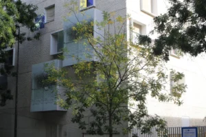 Marie-Odile · 1600 x 1066 Cette photographie montre un immeuble moderne en béton, sujet principal, partiellement caché par des arbres en feuillage vert clair. La composition est équilibrée, avec un cadrage serré sur la façade et les branches qui encadrent la vue. La lumière, naturelle et douce, semble tamisée, créant des ombres légères. Les couleurs dominantes sont les tons gris-beige de l’immeuble et les verts vifs des feuilles. Le style est sobre et réaliste, évoquant une ambiance urbaine calme et légèrement estivale.