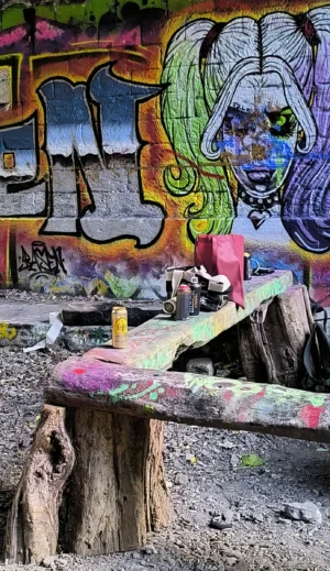 Laurence · 04/10/2025 · 2172 x 3756 Cette photographie met en scène un **tronc d’arbre peint** et des graffitis colorés en arrière-plan. Le **sujet principal** est le tronc, partiellement érodé, avec des traces de peinture multicolore.La **composition** est simple et naturelle, avec un **cadrage serré** sur le tronc, laissant deviner un environnement urbain dégradé. La **lumière** semble naturelle, probablement en journée, avec des ombres douces. Les **couleurs dominantes** sont vives et contrastées : verts, bleus, roses, jaunes et noirs.Le **style** est street art, mêlant **ambiance urbaine et créativité**. L’atmosphère est à la fois **désordonnée et artistique**, évoquant la résilience et l’expression libre.