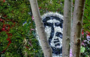 Pascale · 04/10/2025 · 2000 x 1267 Cette photographie met en scène un arbre dont l’écorce est recouverte d’un graffiti représentant un visage stylisé et expressif. Le cadrage est serré, centré sur le tronc, avec des branches qui encadrent l’image. La lumière semble naturelle, mettant en valeur les détails du dessin.Les couleurs dominantes sont des tons naturels (verts des feuilles) et des teintes grises et blanches du graffiti. L’ambiance est à la fois mystérieuse et artistique, évoquant une touche de street art en pleine nature, créant un contraste entre l’art urbain et l’environnement organique.