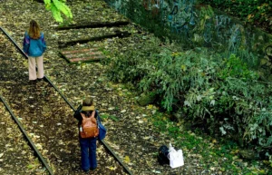 Pascale · 04/10/2025 · 1000 x 644 Cette photographie montre deux figurines et une personne en arrière-plan dans un cadre naturel. Le sujet principal semble être les figurines, dont l’une porte un sac et une casquette, placées sur un sentier de terre.La composition est symétrique et aérée, avec une végétation luxuriante en arrière-plan. Le cadrage est légèrement incliné, offrant une vue d’ensemble. La lumière est naturelle et douce, créant des ombres discrètes. Les couleurs dominantes sont les verts profonds de la végétation, avec des touches de brun et de beige pour le sol et les vêtements.L’ambiance est paisible et légèrement onirique, mêlant réalisme et touche fantastique.