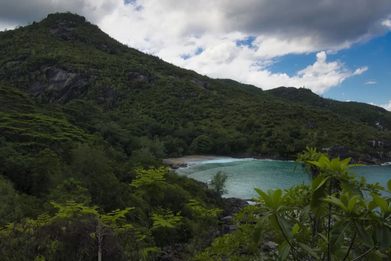 Ahmet · 22/12/2021 · 3000 x 2000 Cette photographie met en scène une **côte montagneuse verdoyante** bordant une **baie turquoise**. Le **sujet principal** est le contraste entre la végétation luxuriante et l’eau calme, encadrée par des collines boisées.Le **cadrage** est large, offrant une vue panoramique. La **composition** joue sur les lignes naturelles et la profondeur de champ. La **lumière**, douce et naturelle, semble matinale ou légèrement voilée par des nuages.Les **couleurs dominantes** sont les verts profonds et les bleus azurés, renforçant une ambiance **sereine et paradisiaque**. Le style est **réaliste et immersif**, évoquant la beauté sauvage et préservée d’un paysage tropical.