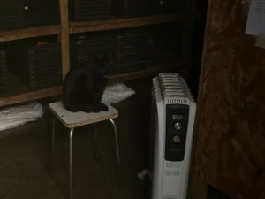 Ahmet · 22/11/2025 · 2560 x 1919 Cette photographie montre un chat noir comme sujet principal, assis sur une chaise devant une fenêtre. La composition est simple, avec le chat en premier plan et un radiateur à droite. Le cadrage est serré, mettant l'accent sur le chat et les éléments proches.La lumière est tamisée, créant une ambiance sombre et intimiste. Les couleurs dominantes sont les tons gris et noirs, avec quelques touches de bois clair. Le style est réaliste et documentaire, reflétant une scène du quotidien. L'ambiance est calme et légèrement mélancolique.