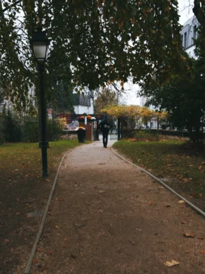Ahmet · 22/11/2025 · 1919 x 2560 Cette photographie capture une allée de parc peu fréquentée. Le sujet principal est une piste en terre battue bordée d’arbres aux feuilles automnales, avec deux personnes marchant au loin.La composition est simple et linéaire, guidée par le chemin central et les lampadaires. Le cadrage est serré, mettant en valeur les détails du sol et des feuilles tombées. La lumière est douce et tamisée, typique d’un jour automnal, créant une ambiance calme et mélancolique. Les couleurs dominantes sont les tons terreux et les verts jaunâtres des feuilles.Le style est réaliste et naturel, évoquant une atmosphère paisible et introspective.