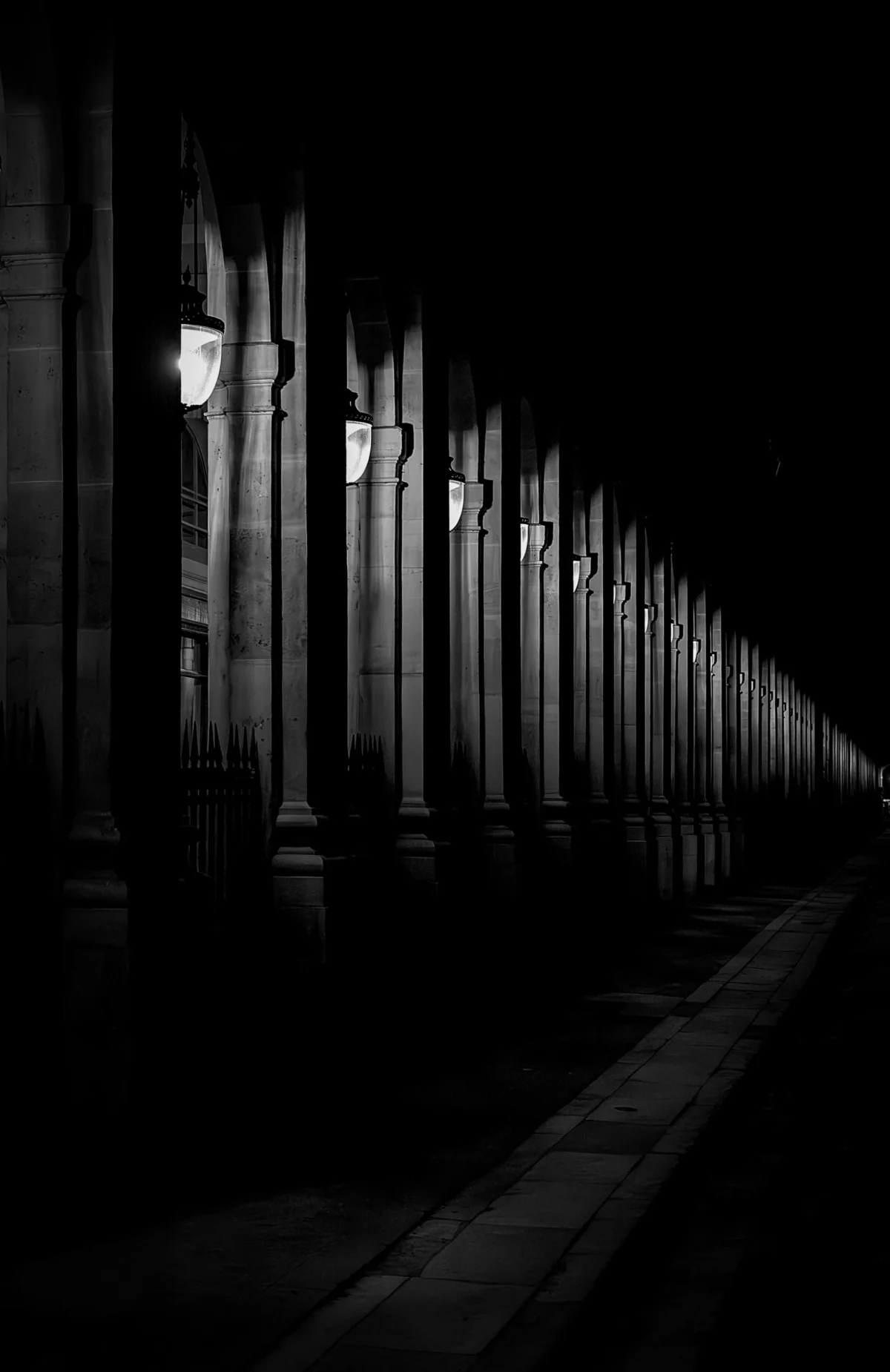 AnJo · 01/12/2023 · 3072 x 4736 Cette photographie met en scène une longue allée bordée de lampadaires classiques alignés. Le sujet principal est cette série de lumières, créant une perspective profonde et symétrique. Le cadrage, serré et légèrement bas, accentue cet effet de perspective.La lumière, douce et tamisée, provient des lampes allumées, contrastant avec l'obscurité environnante. Les couleurs dominantes sont les noirs profonds et les blancs lumineux, typiques d’un style noir et blanc.L’ambiance est mystérieuse et solennelle, évoquant une atmosphère à la fois calme et légèrement mélancolique.