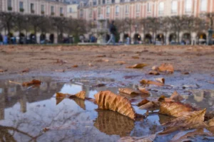 William · 01/11/2025 · 1974 x 1316 Cette photographie met en scène un sol humide jonché de feuilles mortes, reflétant légèrement leur image. Le sujet principal est ces feuilles, disposées en premier plan, créant un effet de flou artistique.La composition joue sur les lignes architecturales des bâtiments en arrière-plan, formant une perspective profonde. Le cadrage est serré sur les feuilles, avec une légère profondeur de champ.La lumière douce, probablement automnale, adoucit les contours. Les couleurs dominantes sont les tons bruns et ocres des feuilles, contrastant avec les gris et blancs des bâtiments. Le style est réaliste et poétique, évoquant une ambiance calme et mélancolique.