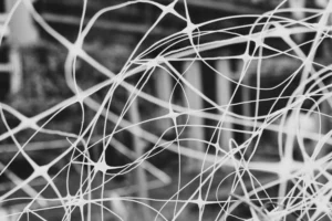 Deniz · 22/11/2025 · 6000 x 4000 Cette photographie met en scène un **sujet abstrait** composé de **filaments blancs emmêlés**, probablement des cheveux ou des fibres.La **composition** est dynamique, avec des lignes entrelacées occupant tout le cadrage. Le **style** est épuré, presque minimaliste, en **noir et blanc**, renforçant le contraste.La **lumière** semble douce et uniforme, éclairant les fils sans ombre marquée. L’**ambiance** est à la fois **mystérieuse et organique**, évoquant une texture naturelle ou une métaphore visuelle. Le cadrage serré accentue l’effet de densité et de complexité.
