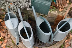 Pierre · 22/11/2025 · 6048 x 4024 Cette photographie met en scène quatre vieux arrosoirs en métal gris disposés en cercle sur un sol pavé de briques et de terre. Le sujet principal est ces arrosoirs, alignés de manière harmonieuse.Le cadrage est serré, centré sur les objets, avec une légère inclinaison vers le haut. La lumière naturelle, douce et légèrement tamisée, crée des ombres douces. Les couleurs dominantes sont les tons gris des arrosoirs, les bruns des briques et la terre, et les touches de vert des plantes environnantes.L’ambiance est rustique et paisible, évoquant un jardin ou une cour ancienne. Le style est simple et réaliste, sans artifice.