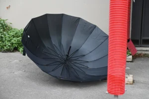 Pierre · 22/11/2025 · 6048 x 4024 Cette photographie met en scène un **parapluie noir** ouvert, posé sur une surface en béton. Le cadrage est serré, centré sur l’objet, avec une **composition simple et épurée**.La lumière semble naturelle, douce, sans ombres marquées. Les **couleurs dominantes** sont le noir du parapluie et le rouge vif d’un tuyau adjacent, contrastant avec le gris du sol et le vert des plantes en arrière-plan.Le style est **minimaliste et réaliste**, évoquant une ambiance calme et légèrement mélancolique, comme un objet abandonné après la pluie.