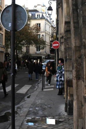 Marie-Odile · 1066 x 1600 Cette photographie capture une rue urbaine animée. Le sujet principal est une femme en jean et veste à carreaux traversant un passage piéton. La composition montre une perspective légèrement inclinée, avec des bâtiments en pierre et des panneaux routiers (dont un "stop" et un panneau de sens interdit).Le cadrage est serré, mettant en avant les détails du trottoir et des passants. La lumière est naturelle, mais tamisée, créant des ombres douces. Les couleurs dominantes sont les tons gris-beige des bâtiments, les verts des arbres et les couleurs vives des vêtements des passants.L’ambiance est typiquement citadine, dynamique et un peu grise, reflétant une journée ordinaire en ville.