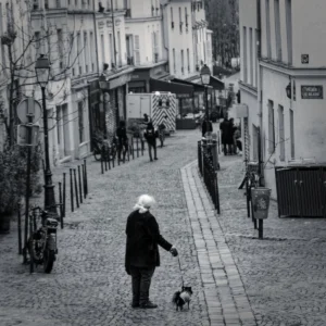 Cyrille · 22/11/2025 · 1200 x 1200 Cette photographie en noir et blanc met en scène une femme âgée promenant son petit chien dans une rue pavée en pente. Le sujet principal est cette femme, isolée au centre de l’image.La composition utilise une perspective descendante, avec des bâtiments anciens de chaque côté, créant une ambiance intimiste et légèrement mélancolique. Le cadrage inclut des détails architecturaux et des passants en arrière-plan, ajoutant de la profondeur.La lumière douce et diffuse accentue les contrastes, renforçant l’atmosphère nostalgique. Les tons de gris dominent, typiques du noir et blanc, soulignant les textures et les jeux d’ombres. Le style est documentaire et poétique.