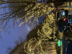 Cette photographie capture une rue urbaine de nuit, illuminée par des guirlandes lumineuses. Le sujet principal est un arbre décoré de lumières jaunes, créant une ambiance festive. La composition montre un cadrage en plongée, mettant en valeur les branches et les lumières.Les couleurs dominantes sont les tons chauds (jaunes) des guirlandes, contrastant avec le bleu nuit du ciel. Les néons et phares des voitures ajoutent des touches de rouge et blanc. Le style est réaliste et nocturne, évoquant une ambiance chaleureuse et festive, typique des décorations hivernales en ville.