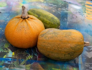 Vera · 22/11/2025 · 5312 x 4001 Cette photographie met en scène trois courges posées sur une surface texturée. Le sujet principal est une courge orange lisse à gauche, accompagnée de deux autres variétés, l’une verte et l’autre jaune-vert striée.La composition est simple et symétrique, avec un cadrage serré. La lumière naturelle, douce et légèrement tamisée, met en valeur les détails des courges. Les couleurs dominantes sont les tons orange, vert et jaune, créant une ambiance automnale et chaleureuse. Le style est épuré et photographique, avec une attention portée aux textures et aux couleurs naturelles.