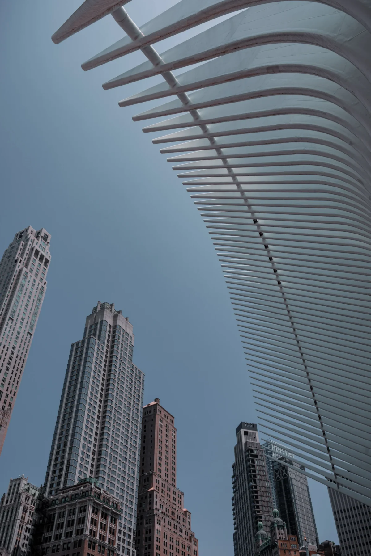 Tery · 4480 x 6720 Cette photographie met en scène une structure architecturale moderne en verre et métal, probablement une passerelle ou un auvent, comme sujet principal. La composition joue sur les lignes verticales des gratte-ciels en arrière-plan et les horizontales de la structure transparente, créant un contraste dynamique.Le cadrage en contre-plongée accentue la hauteur et la grandeur des bâtiments. La lumière naturelle, douce et légèrement bleutée, donne une ambiance claire et lumineuse. Les couleurs dominantes sont les tons gris-bleu du ciel, les teintes grises et brunes des bâtiments, et le verre transparent de la structure. Le style est urbain et contemporain, évoquant une ambiance futuriste et élégante.