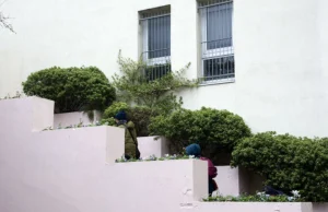 Pascale · 22/11/2025 · 1000 x 646 Cette photographie met en scène un **escalier extérieur moderne** bordé de plantes en pots. Le **sujet principal** est l’architecture minimaliste et les végétaux bien entretenus.La **composition** est symétrique, avec des marches en béton clair et des bacs alignés. Le **cadrage** est serré, centré sur l’escalier et les plantes. La **lumière** semble naturelle, douce, créant des ombres légères.Les **couleurs dominantes** sont le **blanc cassé** des murs et marches, le **vert** des plantes, et des touches de **bleu** dans les pots. Le style est **contemporain et épuré**, évoquant une ambiance **calme et soignée**.