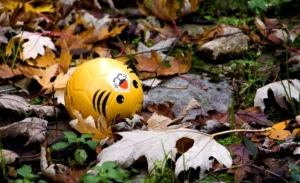 Pascale · 22/11/2025 · 1000 x 611 Cette photographie met en scène un jouet en forme de citron jaune souriant, avec des yeux et une bouche stylisés, ressemblant à un personnage. Le sujet principal est posé sur un sol couvert de feuilles mortes et de débris naturels.La composition est simple et centrée, avec un cadrage serré qui isole le jouet. La lumière semble naturelle, douce et tamisée, créant des ombres légères. Les couleurs dominantes sont les tons jaunes du jouet et les bruns/beiges des feuilles mortes. L’ambiance est à la fois ludique et automnale, évoquant une touche de nostalgie et de simplicité.