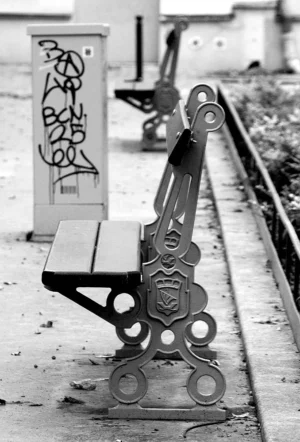 Pascale · 22/11/2025 · 678 x 1000 Cette photographie met en scène un **siège de train métallique** en premier plan, partiellement arraché, avec des graffitis et des rouages apparents. En arrière-plan, un autre siège et un banc public sont visibles, ainsi qu’un **tag sur un panneau**.La **composition** est dynamique, avec un cadrage serré sur le siège endommagé, accentuant son aspect abandonné. La **lumière** naturelle, contrastée, crée des ombres marquées, renforçant l’ambiance mélancolique. Les **couleurs dominantes** sont en noir et blanc, soulignant les textures et les dégradés.Le **style** est documentaire et urbain, évoquant une **ambiance désolée**, presque post-apocalyptique.