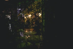 Ahmet · 20/12/2025 · 2500 x 1667 Cette photographie capture une scène nocturne floue et mystérieuse. Le sujet principal semble être un espace extérieur peu éclairé, probablement un jardin ou une terrasse, avec des arbres et des lumières tamisées.La composition est déséquilibrée, avec un cadrage serré et une prédominance de l'obscurité. Les lumières chaudes, jaunâtres, contrastent avec les zones sombres, créant une ambiance intimiste et onirique. Les couleurs dominantes sont les verts profonds et les jaunes dorés. Le style est poétique et légèrement surréaliste, évoquant une atmosphère calme et presque mélancolique.