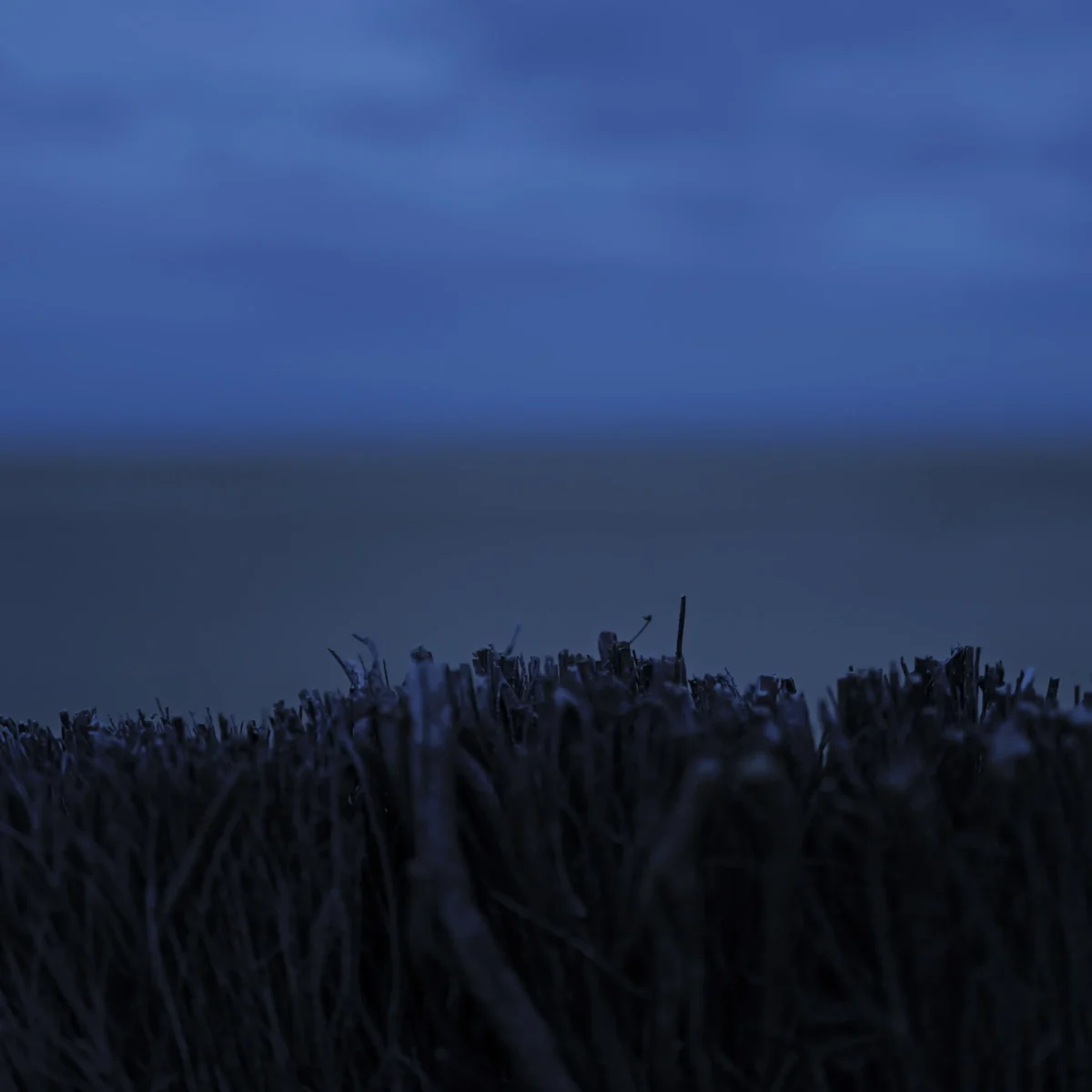Jean-Paul · 12/12/2025 · 3000 x 3000 Cette photographie capture une ambiance nocturne ou crépusculaire avec pour sujet principal une étendue d’eau sombre, probablement un océan ou une mer, bordée de végétation dense et sombre en premier plan.La composition est épurée, avec un cadrage serré sur les éléments naturels. Les couleurs dominantes sont les bleus profonds et les teintes sombres, renforçant une atmosphère mystérieuse et calme. La lumière est faible, créant des contrastes doux et une ambiance contemplative.Le style est minimaliste et presque abstrait, évoquant une sensation de solitude et de sérénité.