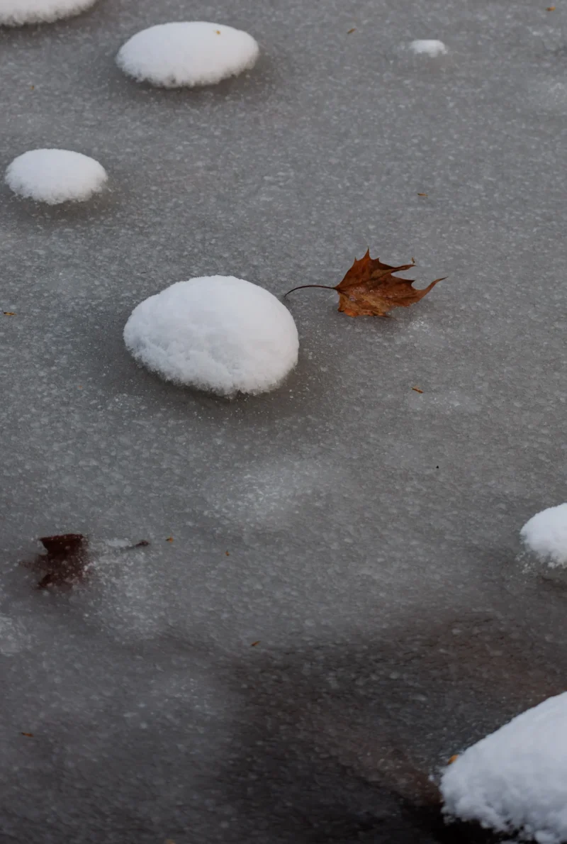 Claude · 3060 x 4552 Cette photographie capture des feuilles mortes et des flaques partiellement gelées. Le **sujet principal** est une feuille automnale partiellement recouverte de givre, entourée de petits tas de neige.La **composition** est simple et naturelle, avec un **cadrage serré** qui met en valeur les détails du sol. La **lumière** semble douce et diffuse, typique d’un jour hivernal. Les **couleurs dominantes** sont les tons grisâtres de la glace, le blanc de la neige et les ocres de la feuille.Le **style** est réaliste et minimaliste, évoquant une **ambiance** calme et mélancolique, caractéristique de la transition entre l’automne et l’hiver.