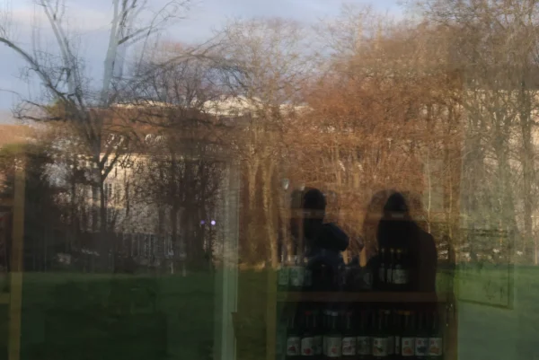 Laurence · 3472 x 2320 Cette photographie montre deux silhouettes assises sur un banc, observant un parc. Le **sujet principal** est ces deux personnes, floues et discrètes, créant une ambiance contemplative.La **composition** est simple, avec un **cadrage serré** sur le banc et les silhouettes, tandis que l’arrière-plan (arbres, bâtiments) est légèrement flou. La **lumière** semble naturelle, douce et tamisée, probablement en fin de journée.Les **couleurs dominantes** sont des tons verts (végétation), bruns (arbres nus) et gris (silhouettes, ciel). Le style est **minimaliste et poétique**, évoquant une **ambiance calme et mélancolique**.