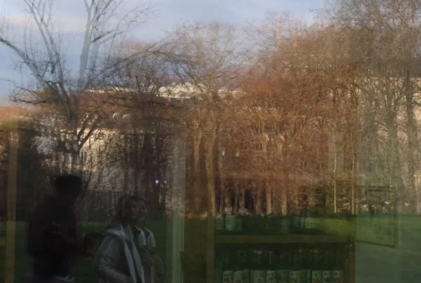 Laurence · 3443 x 2320 Cette photographie montre une scène floue à travers une vitre ou un filtre.Le **sujet principal** est un paysage extérieur avec des arbres aux feuilles automnales et un ciel clair. La **composition** est simple, avec un cadrage légèrement incliné et une profondeur limitée. La **lumière** est naturelle, douce, et semble provenir d’un angle élevé, créant des contrastes subtils.Les **couleurs dominantes** sont les tons verts, bruns et ocres des feuilles et du sol. Le **style** est réaliste mais légèrement estompé, donnant une impression de flou artistique. L’**ambiance** est calme et automnale, évoquant une journée paisible en forêt ou en parc.