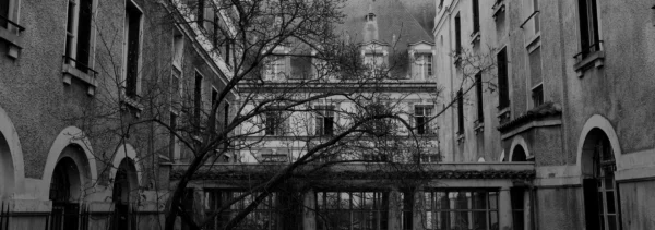 Paul C. · 17/01/2026 · 5944 x 2086 Cette photographie en noir et blanc capture une rue urbaine déserte. Le sujet principal est un arbre nu, dont les branches s’étendent devant des bâtiments anciens aux architectures classiques, avec des arcs et des fenêtres alignées.Le cadrage est serré, centré sur l’arbre et les façades. La lumière, tamisée, crée des contrastes doux et des ombres marquées, accentuant l’ambiance mélancolique. Les tons dominants sont les gris et noirs, renforçant une atmosphère sobre et nostalgique. Le style rappelle le réalisme photographique classique, évoquant une ville calme et intemporelle.