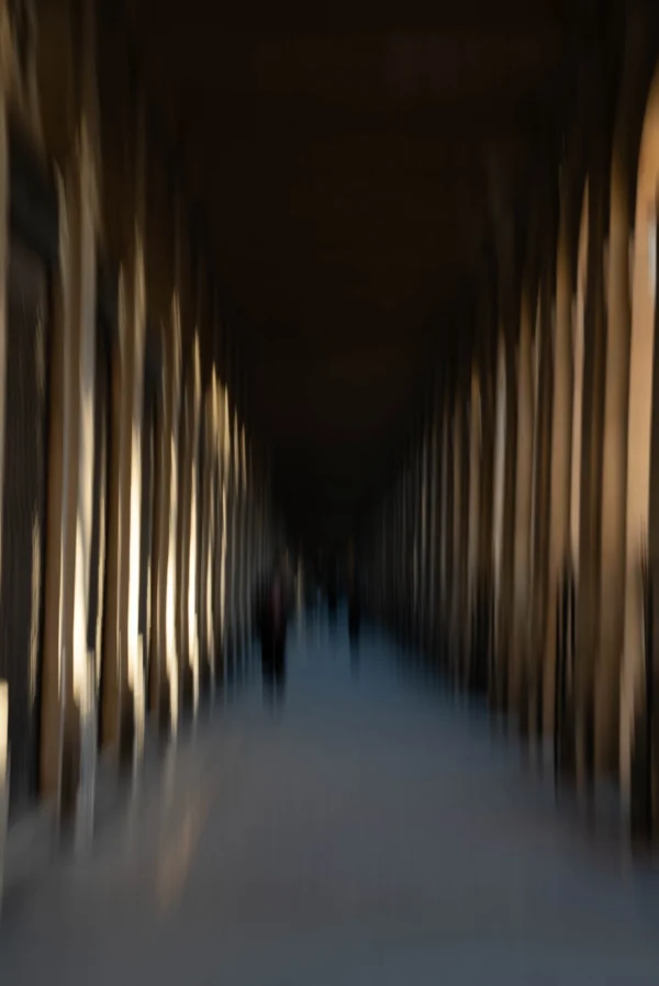 Alice · 03/01/2026 · 4452 x 6661 Cette photographie capture un long couloir étroit bordé de colonnes verticales. Le sujet principal est l’architecture linéaire et répétitive des piliers, créant une perspective profonde.Le cadrage, serré et symétrique, guide le regard vers l’horizon. La lumière, douce et tamisée, provient probablement d’une source lointaine, générant des jeux d’ombres et de clarté. Les couleurs dominantes sont des tons neutres : gris, beige et noir, renforçant une ambiance minimaliste et épurée.Le style, sobre et épuré, évoque une sensation de calme et de solitude, presque mystique. L’effet de flou dynamique ajoute un mouvement subtil, renforçant l’immersion dans cet espace architectural.